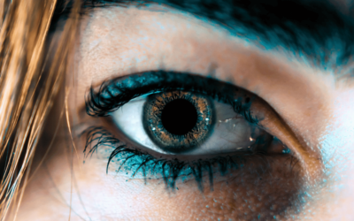The Ultimate Guide to Eyebrow Shaping: Techniques and Tips